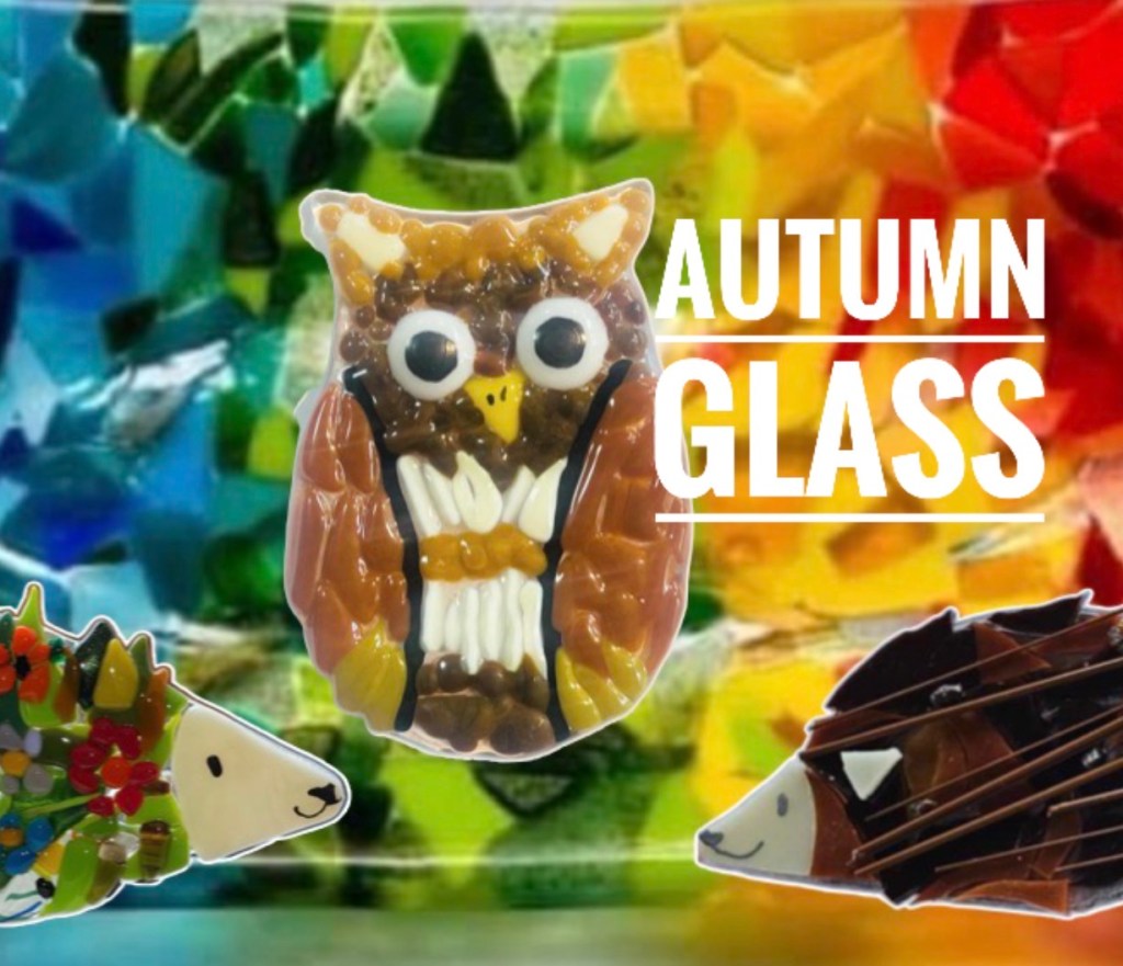 24/09/26 Thursday EVE 7-9.15 BINGHAM HEDGEHOGS & OWLS / CHOOSE ON THE DAY